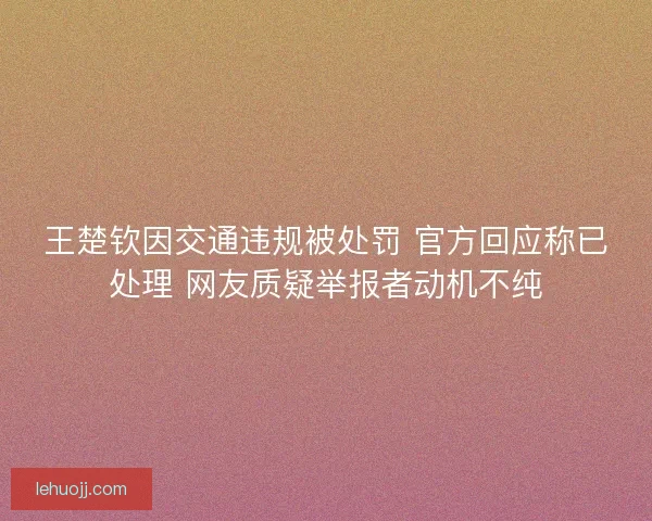 王楚钦因交通违规被处罚 官方回应称已处理 网友质疑举报者动机不纯